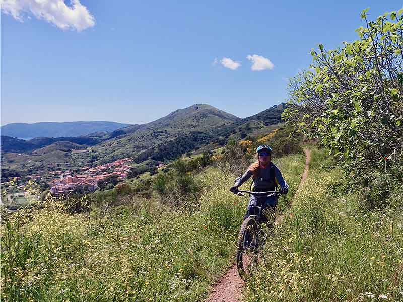 Mountainbiken auf  Elba