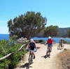 Bild 67 zur MTB toskana_kombi Reise