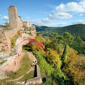 Enduro Trailride Pfalz